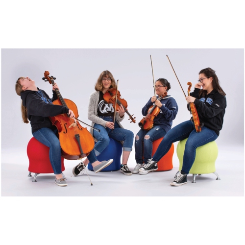 Safco Zenergy Ball Chair