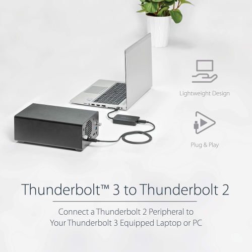 StarTech Thunderbolt 3 to Thunderbolt 2 Adapter -