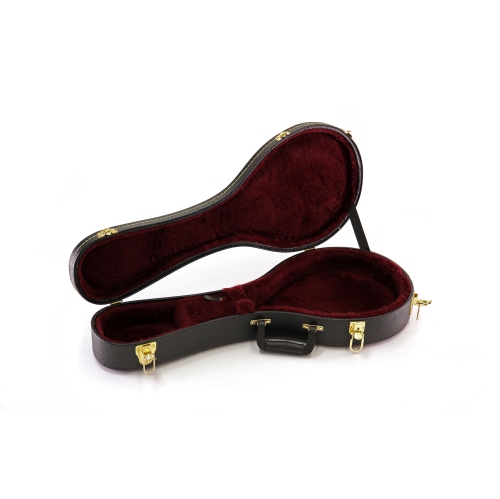 Yorkville Sound Mandolin Case - A Style