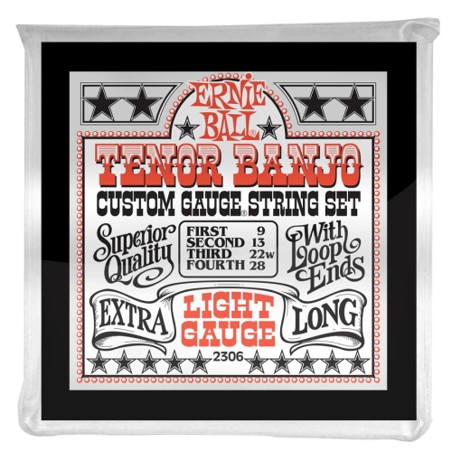 Ernie Ball P02306 Light Loop End Stainless Steel Tenor Banjo Guitar Strings