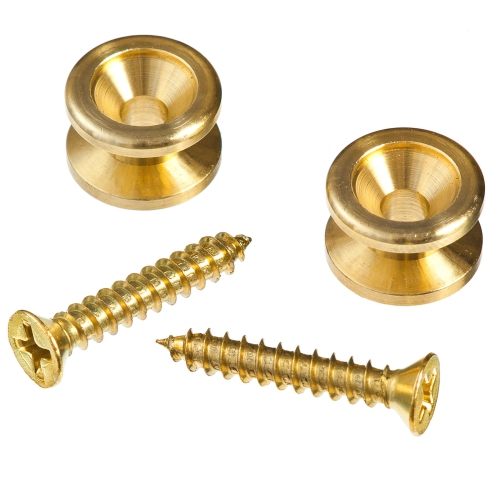 Planet Waves PWEP302 Solid Brass End Pins in Brass - Pair