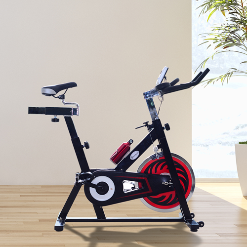 Soozier Exercise Bike Bicycle with LCD Monitor Black