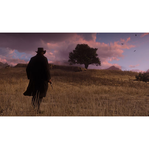 Red Dead Redemption 2
