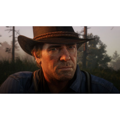 Best buy red dead best sale redemption 2 ps4 pro