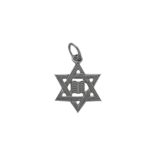Elite Jewels 10 Karat White Gold Small Star of David Jewish Pendant with 18" chain