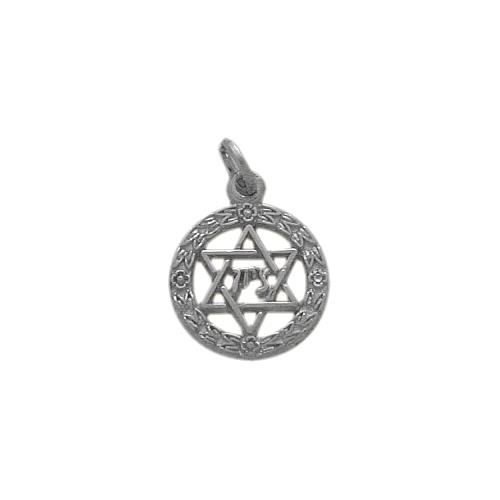 Image 1 de 1.. Elite Jewels 10 Karat White Gold Star of David Jewish Pendant with 18" chain