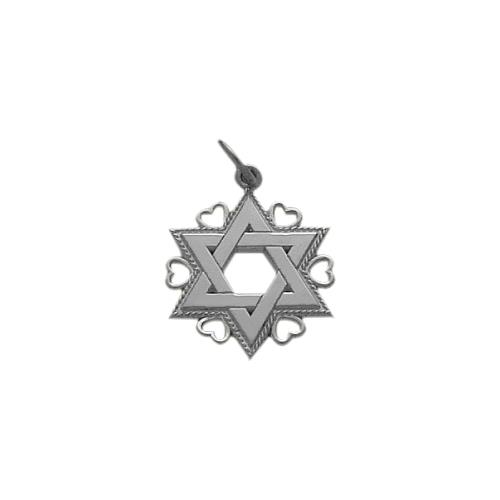 Elite Jewels 10 Karat White Gold Star of David Jewish Pendant with 18" chain