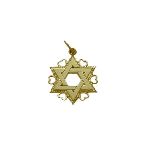 Elite Jewels 10 Karat Yellow Gold Star of David Jewish Pendant with 18" chain
