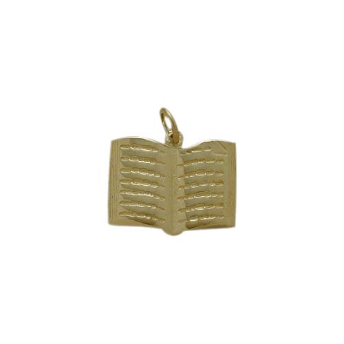 Elite Jewels 10 Karat Yellow Gold Holy Book Jewish Pendant with 18" chain