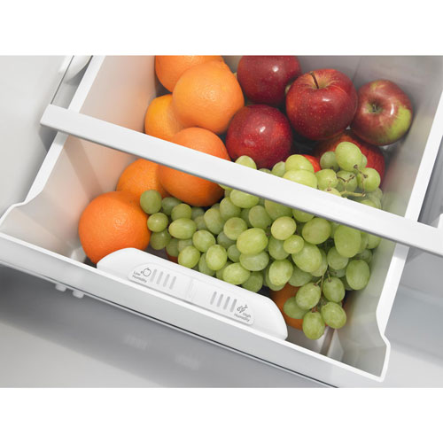Amana 30" 18.2 Cu. Ft. Top Freezer Refrigerator - Stainless Steel