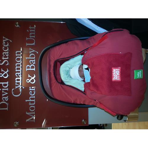 baby parka Safe Car Seat Cover - black