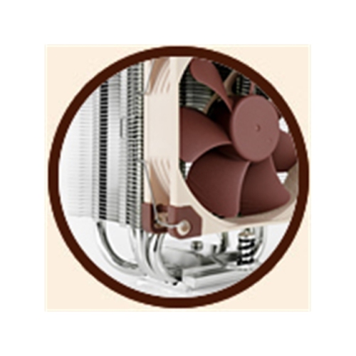 Noctua Cooler S2011/1156/1155/1150/AM2+/AM3+/FM1/FM2+ 125mm PWM Fan