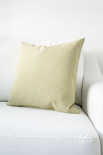 18" x 18" Design Throw Cushion - Light Geen - Light Beige