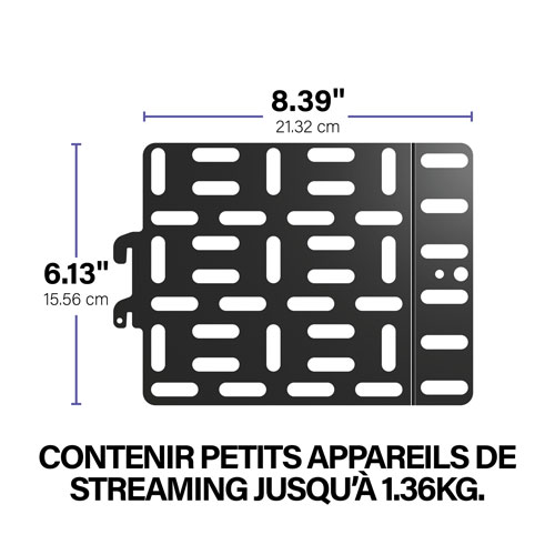 Panneau de fixation de SANUS pour appareils de diffusion