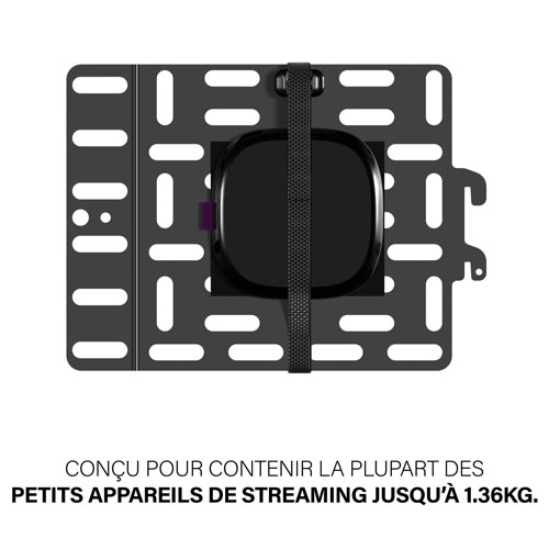 Panneau de fixation de SANUS pour appareils de diffusion