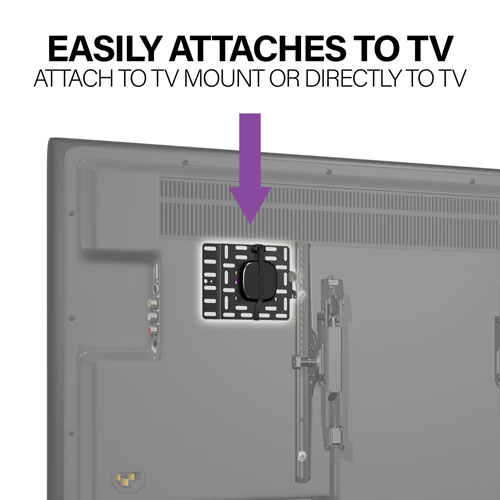 Panneau de fixation de SANUS pour appareils de diffusion
