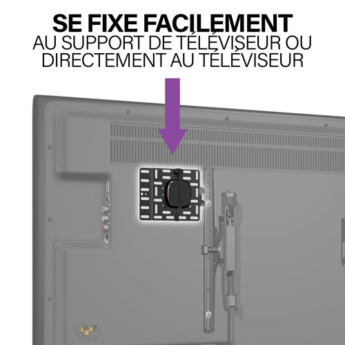 Panneau de fixation de SANUS pour appareils de diffusion