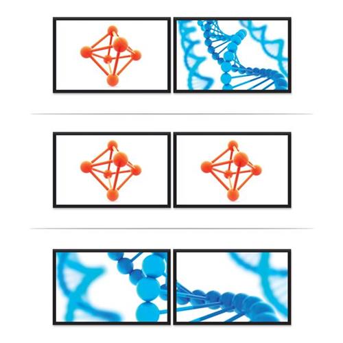StarTech USB-C to DisplayPort Multi Monitor Splitter