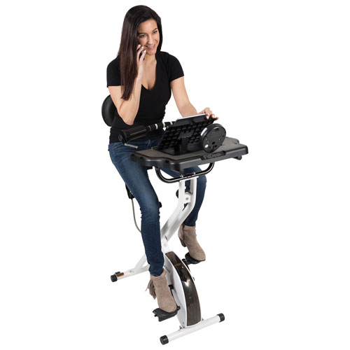 FitDesk 3.0 Exercise Desk Bike | Best Buy Canada