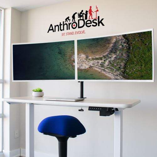 Single Motor Programmable Standing Desk - White