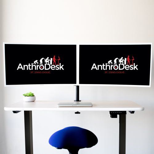 Single Motor Programmable Standing Desk - Black