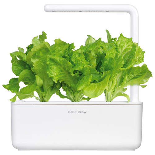 Jardin intérieur intelligent/capsule de basilic de Click & Grow - Paquet de 3 - Blanc