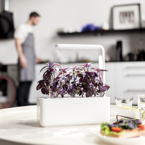 Jardin intérieur intelligent/capsule de basilic de Click & Grow - Paquet de 3 - Blanc