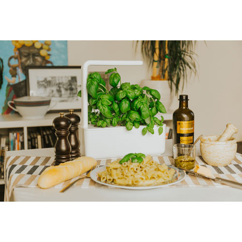 Jardin intérieur intelligent/capsule de basilic de Click & Grow - Paquet de 3 - Blanc