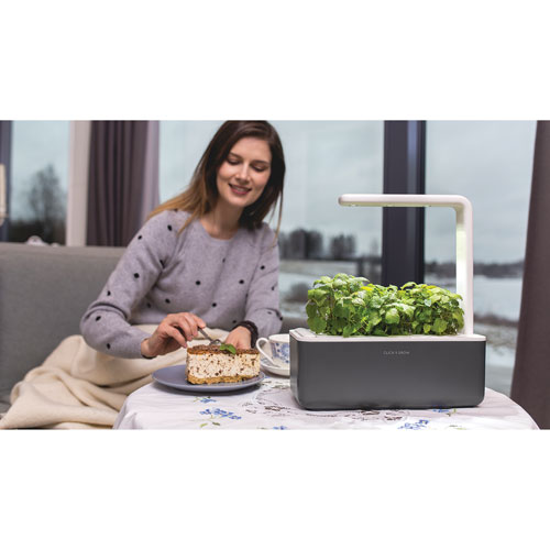 Jardin intérieur intelligent/capsule de basilic de Click & Grow - Paquet de 3 - Gris foncé
