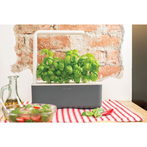 Jardin intérieur intelligent/capsule de basilic de Click & Grow - Paquet de 3 - Gris foncé