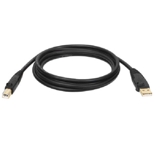 TRIPP LITE  10Ft USB 2.0 Cable USB-A to USB-B (U022-010-R) In Gold