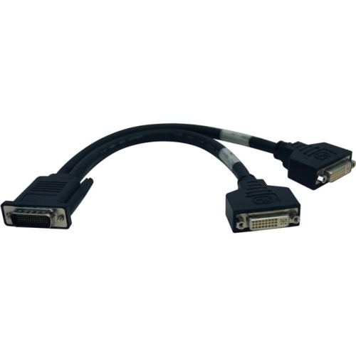 TRIPP LITE  Dms-59 to Dual Dvi Splitter Y Cable
