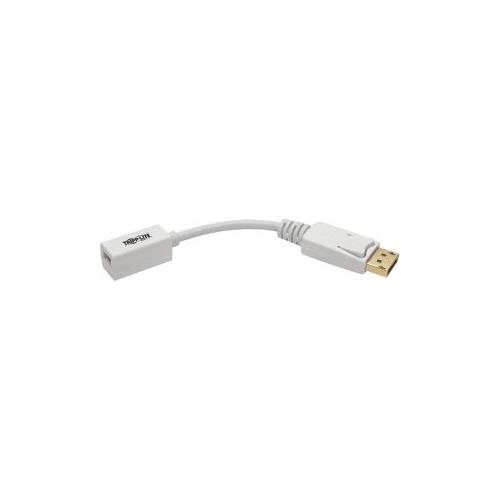 Tripp Lite 6in DisplayPort to Mini DisplayPort Adapter Cable 4k x 2k @ 60Hz M/F 6"