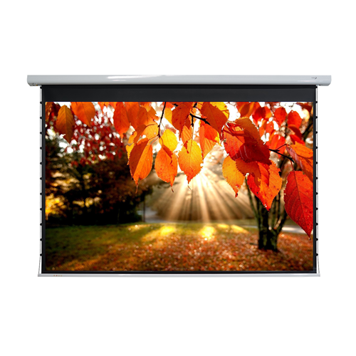 Elunevision 106" 16:9 Titan Tab-Tensioned Motorized Projector Screen