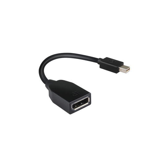 Lenovo Mini-DisplayPort to DisplayPort Adapter