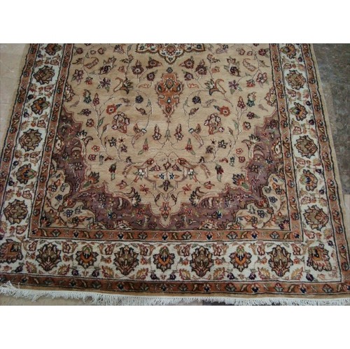 Beige Tan Floral Exclusive Rectangle Area Rug Hand Knotted Wool Silk Carpet'