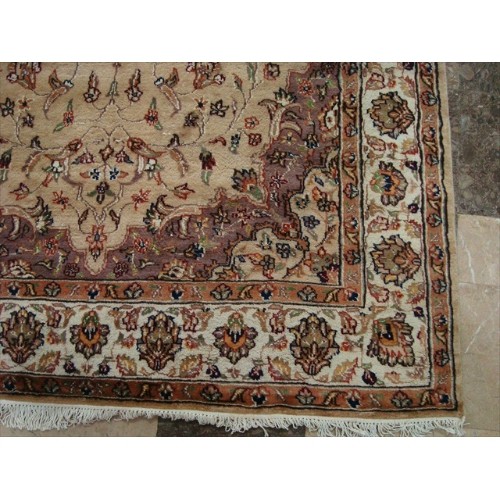 Beige Tan Floral Exclusive Rectangle Area Rug Hand Knotted Wool Silk Carpet'