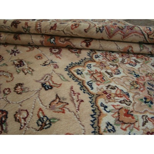 Beige Tan Floral Exclusive Rectangle Area Rug Hand Knotted Wool Silk Carpet'