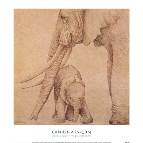 Carolina Luzon, Elephants in the Paper III, 19,75 X 18", Animals Art Print