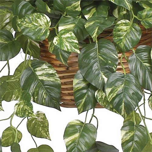 Nearly Natural Pothos Hanging Basket Silk Plant in Green/Brown
