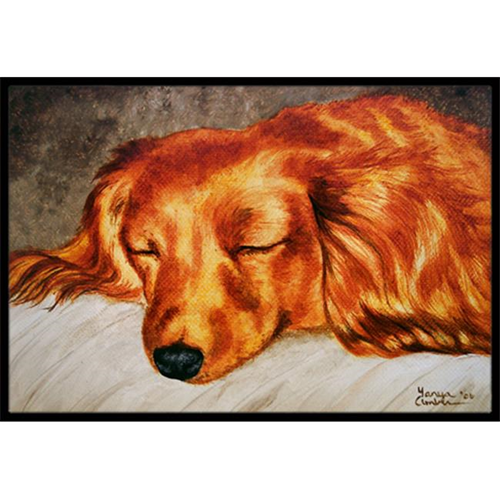 Carolines Treasures AMB1202JMAT Red Longhaired Dachshund Indoor or Outdoor Mat 24 x 36