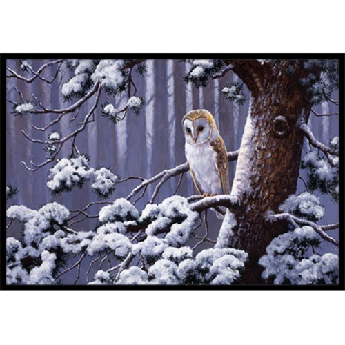 Carolines Treasures BDBA0303JMAT Owl on a Tree Branch in the Snow Indoor or Outdoor Mat 24 x 36