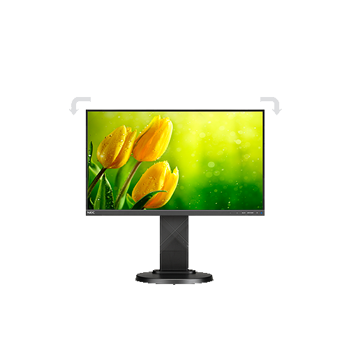 NEC 22" FHD 75 Hz 6 ms GTG WLED Monitor - Black -