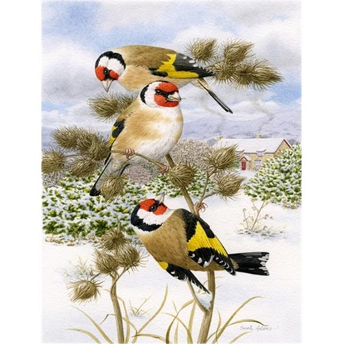 Carolines Treasures ASA2007GF drapeau européen Goldfinch taille du jardin