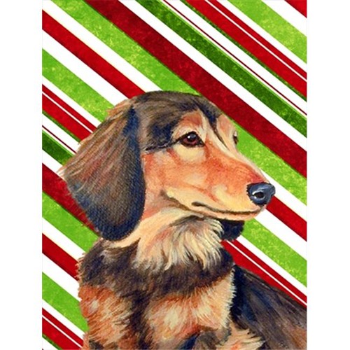 Carolines Treasures LH9256GF 11 x 15 in. Dachshund Candy Cane Holiday Christmas Garden Size Flag