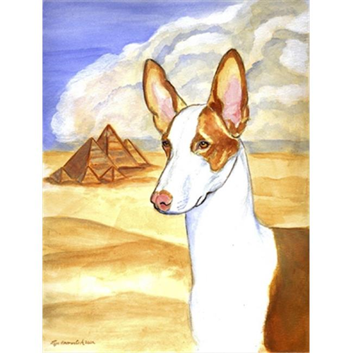 Carolines Treasures 7031CHF 28 x 40 po. Drapeau d'Ibizan Hound, toile taille de la maison