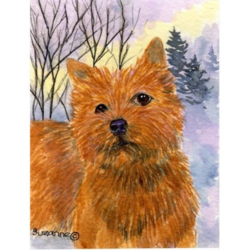 Carolines Treasures SS1012CHF Norwich Terrier Canvas Flag - House Size 28 x 40 in.