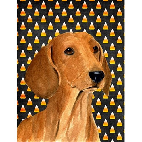 Carolines Treasures SS4280CHF Dachshund Candy Corn Halloween Portrait sur toile - Maison taille 28 x 40 po.