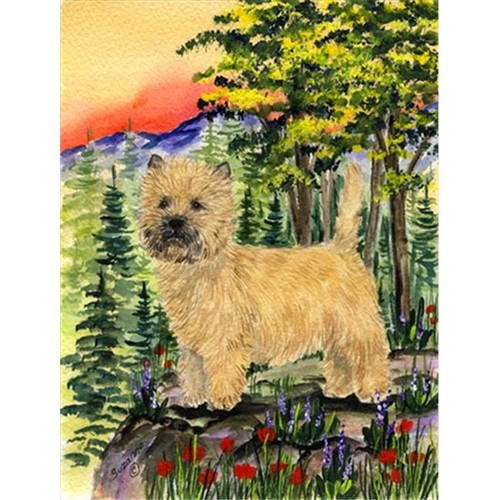 Carolines Treasures SS8229CHF Cairn Terrier Canvas Flag - House Size 28 x 40 in.