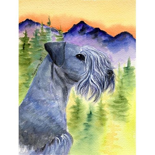 Carolines Treasures SS8232CHF Cesky Terrier Canvas Flag - House Size 28 x 40 in.